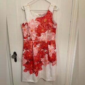 Classic Women’s Spring Floral Dress